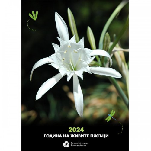 Календар с кауза за 2024 година 'Година на живите пясъци' от 12 пощенски картички, фондация 'Биоразнообразие'