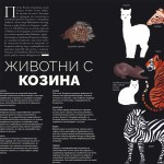 ЖИВОТНИ - заминателна екциклопедия, Елен Дрювер / издателство 'Дакелче'
