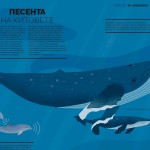 ЖИВОТНИ - заминателна екциклопедия, Елен Дрювер / издателство 'Дакелче'